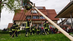 2023 Maibaum stellen (6)
